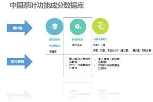 科技賦能云茶產(chǎn)業(yè) 重大專項驅(qū)動精深加工與健康研究雙突破